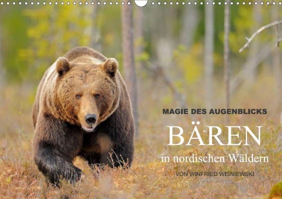 CALVENDO-Kalender: Magie des Augenblicks – Bären in nordischen Wäldern www.calvendo.de/galerie/magie-des-augenblicks-baeren-in-nordischen-waeldern-3/