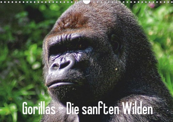 gorillas_cover