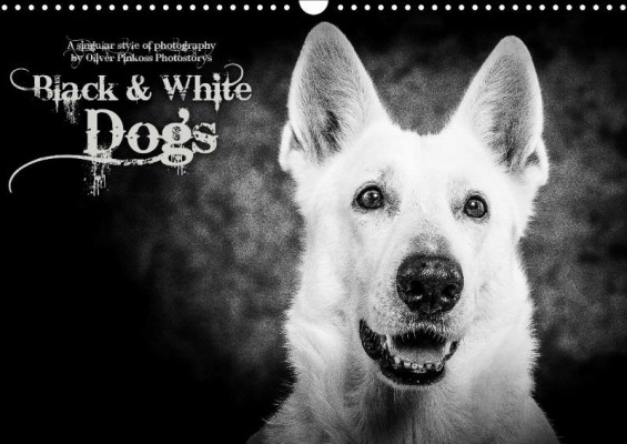 BW_Dogs