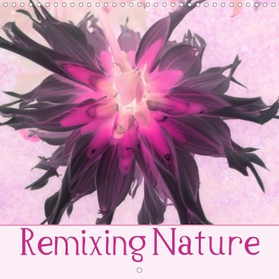 Remixing Nature calendar