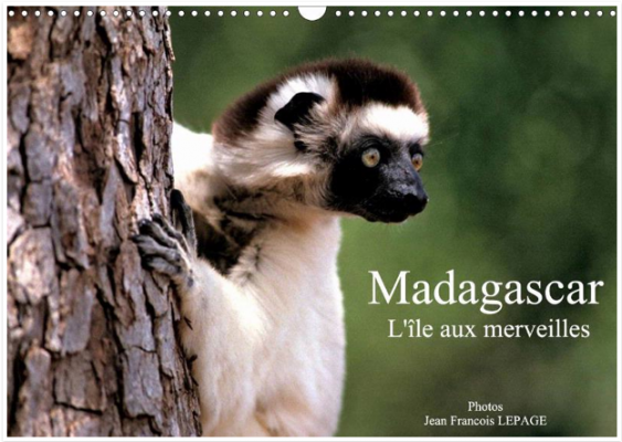 Jean François Lepage : Madagascar, l’île aux merveilles