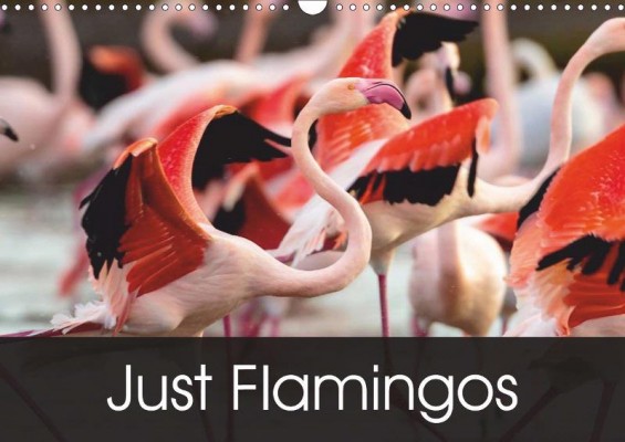 'Just Flamingos' calendar