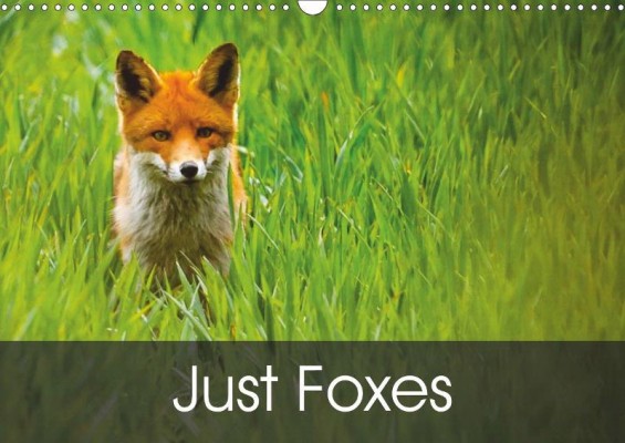 'Just Foxes' calendar