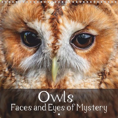 'Owls - Faces and Eyes of Mystery' calendar