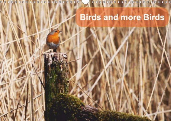 'Birds and more Birds' calendar
