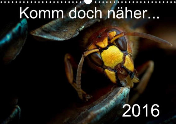 Eberhard Ehmke: Komm doch näher …, awarded in animals category 