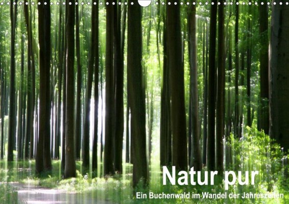 Klaus Eppele: Natur pur, awarded in travel/landscapes category 