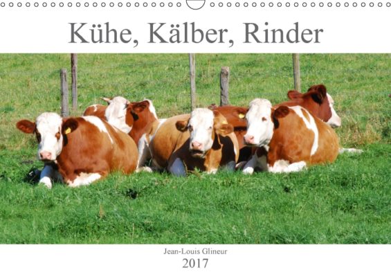 jean-louis-glineur_kuehe-kaelber-rinder