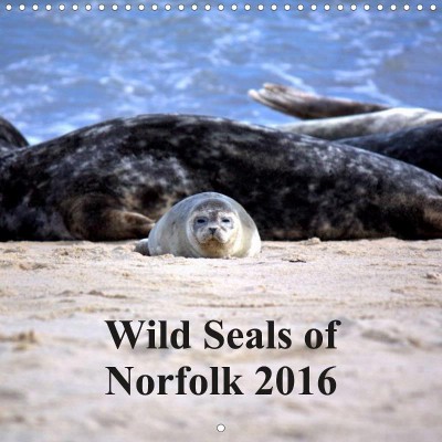 Wild Seals of Norfolk calendar, by Lucy Antony/Loose Images