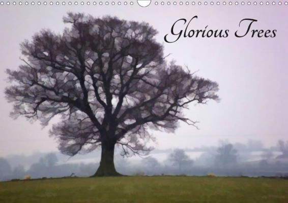 Glorious Trees calendar, by Lucy Antony/Loose Images
