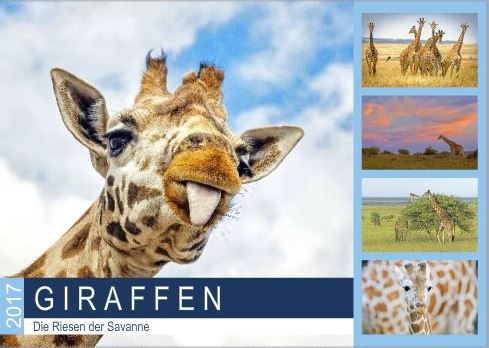 Vorlagen_Giraffen