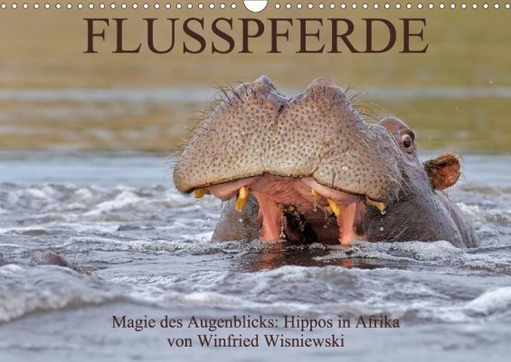 Winfried Wisniewski: Magie des Augenblicks - Hippos in Afrika www.calvendo.de/galerie/flusspferde-magie-des-augenblicks-hippos-in-afrika/