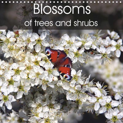 Lothar-Reupert_Blossoms-of-trees-and-shrubs