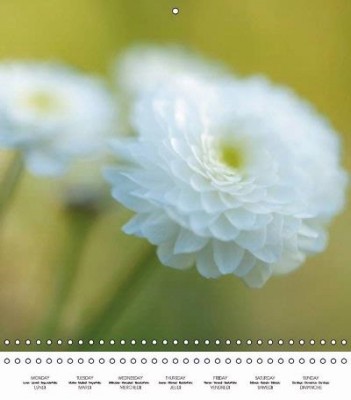 From Soft White Flowers calendar